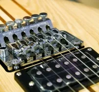 Fixarea Floyd Rose