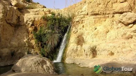 Ein Gedi - Nature Reserve, un centru spa și o plajă de la Marea Moartă