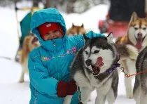 Amennyiben vezetni a Huskies Moszkvában és környékén - ékezetek - jelentésekkel és elemzésekkel - RIAMA