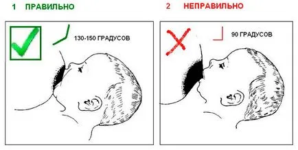 Кърменето препоръки на СЗО