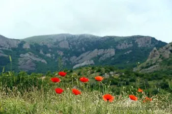 Információk a Krímben független utazási