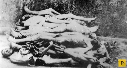 Ilse Koch - perverz és szadista Buchenwald (6 fénykép)