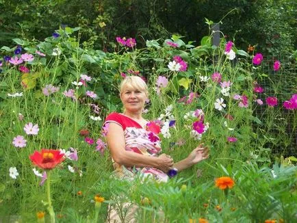 Ipomoea purpurea cum să crească o grădină în turnul verde