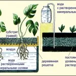 Слама шредер - най-желаната домашно