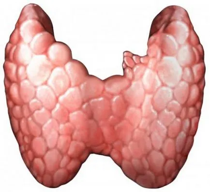 Modificări în organism în timpul menopauzei cauze și simptome