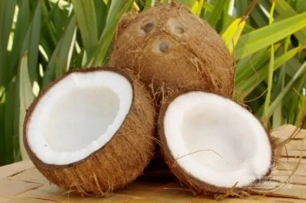 Cum se curata o nuca de cocos cum de a deschide o nucă de cocos la domiciliu