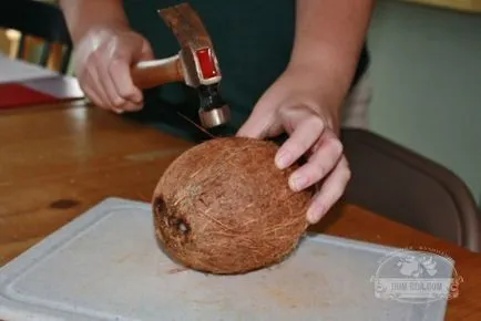 Cum se curata o nuca de cocos cum de a deschide o nucă de cocos la domiciliu