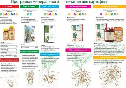 Hogyan kell kezelni a Rhizoctonia (fekete durvítsa) burgonya