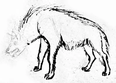 Cum de a desena o hienă