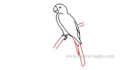 Cum de a desena un pas papagal cu pas pentru incepatori