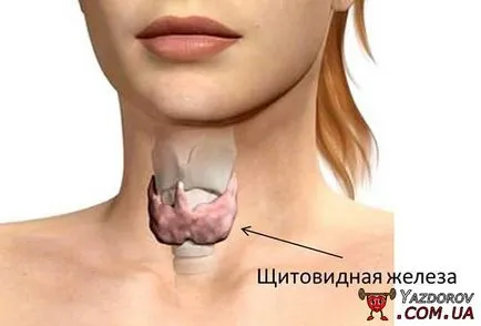 Cum de a trata adenom folicular a glandei tiroide