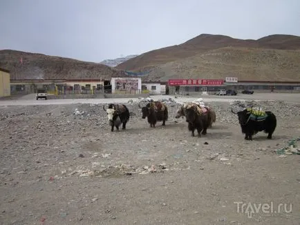 Așa cum am intrat în Tibet în jurul centrului lumii