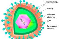 Herpes pe simptome picior, cauze, tratament (foto și video)