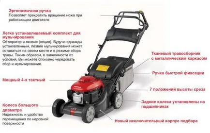 Masina de tuns iarba cu mâinile cu benzină și un motor și instrucțiuni de diagrame electrice