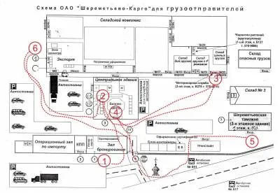 Как да изпратите кученце в чужбина - 01 декември, 2013 - Блог - блог за всичко