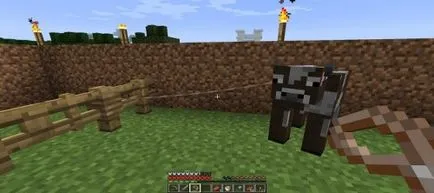 Hogyan Minecraft vezet állatok háziasítása