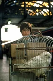 Cum se filma Harry Potter si Piatra Filosofala