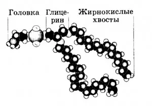 Как да премахнете мазнините изгаряне на мазнини