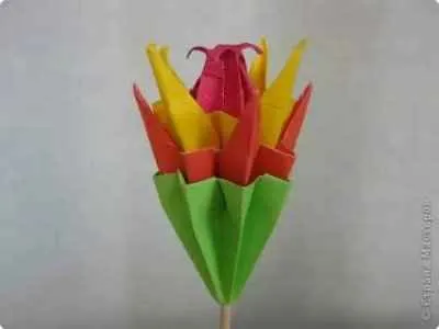 Cactus modul kusudama 