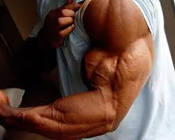 Ca și în ultima lună pentru a pompa biceps este posibil să se dezvolte biceps in 30 de zile -