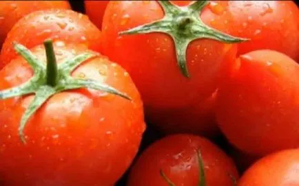 Cum să crească o recoltă bogată de tomate