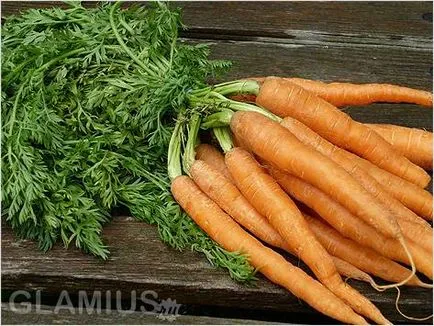 Как да съхранявате моркови - моркови за съхранение у дома