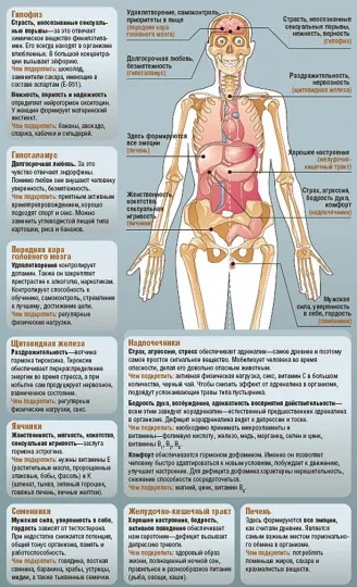 Harta emoțiilor umane și cum să se ocupe cu ea