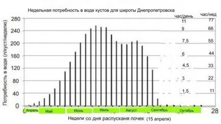 Капково напояване на лозя, в блога Igorya Zaiki за лозарството и винарството авторското право