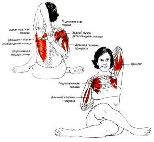 Gomukhasana (tehén fejét testtartás), Lana jóga