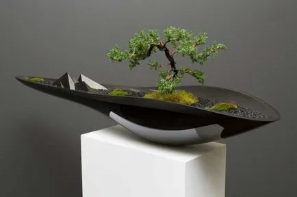 Pot pentru bonsai transplantat cu propriile lor mâini, cu un model