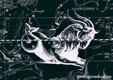 Horoscop pentru Capricorn in 2017 foc Rooster, horoscopul, care devin realitate!