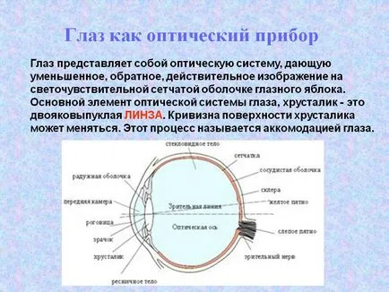 Окото като оптичен уред - презентация 5756-5