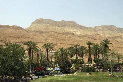 Kibbutz Ein Gedi (kibuc ein-Gedi) leírása és képek