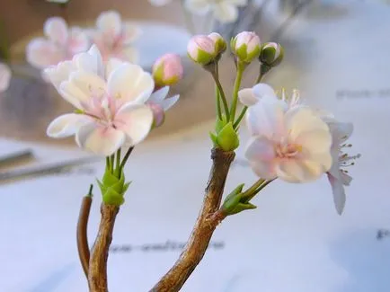 Kerámia kertművészet mesterkurzus létrehozására Sakura