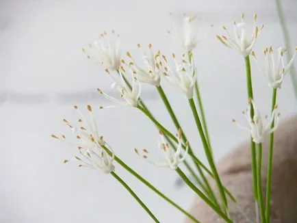 Kerámia kertművészet mesterkurzus létrehozására Sakura