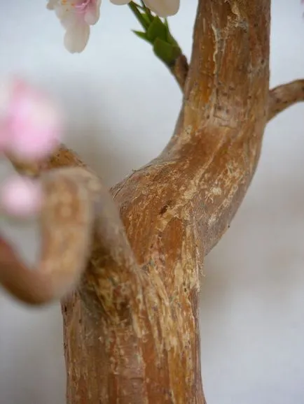 Clasa de ceramică de master floristica pe crearea de Sakura