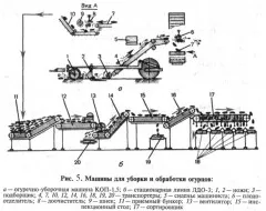 castraveți Harvester cop-1, 5m