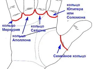 Пръстени на ръцете на стойността - пръстите на дясната и лявата ръка