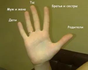 Пръстени на ръцете на стойността - пръстите на дясната и лявата ръка