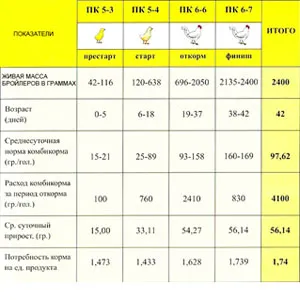 Хранене бройлери в таблицата с дома, рецепти