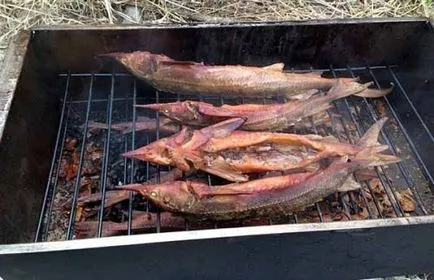 Füstölt tokhal - a recept otthoni használatra