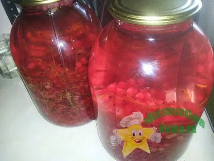 Compot de conserve coacaze rosii pentru reteta de iarnă, blog-ul culinar - acasă yummy