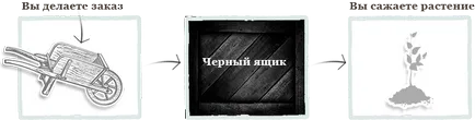 Купи семена от домати Аляска 0, 1 грама най-добрата цена с доставка в Москва и Русия