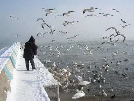Krímben télen - hol és mit kell látni, hogy mit és hogyan kell pihenni télen a Krímben
