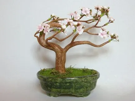 Lepim bonsai cireșe Polimer argilă