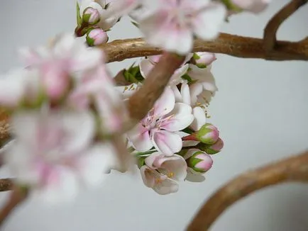 Lepim bonsai cireșe Polimer argilă