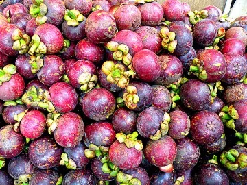 Comentarii mangosteen, proprietățile benefice ale siropului mangosteen cumparat de la Moscova