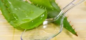 Masca de par cu gel de aloe la domiciliu