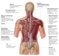 Musculo-tonic sindrom - cauze, simptome și tratament