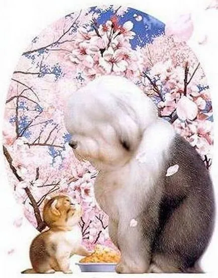Aranyos kis állatok a japán művész Makoto Muramatsu